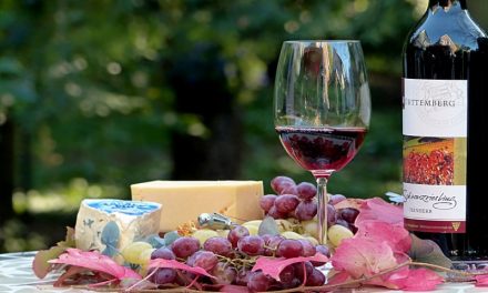 Borvidékek és a bor készítése