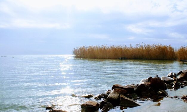 Balatonfüred-csopaki borvidék