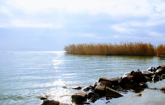 Balatonfüred-csopaki borvidék