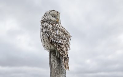 Új dolgokkal mehetünk előre csütörtökön?