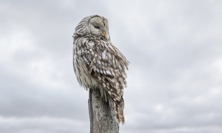 Új dolgokkal mehetünk előre csütörtökön?